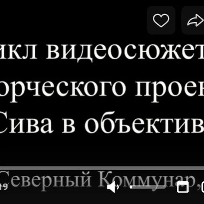 "Сива в объективе"