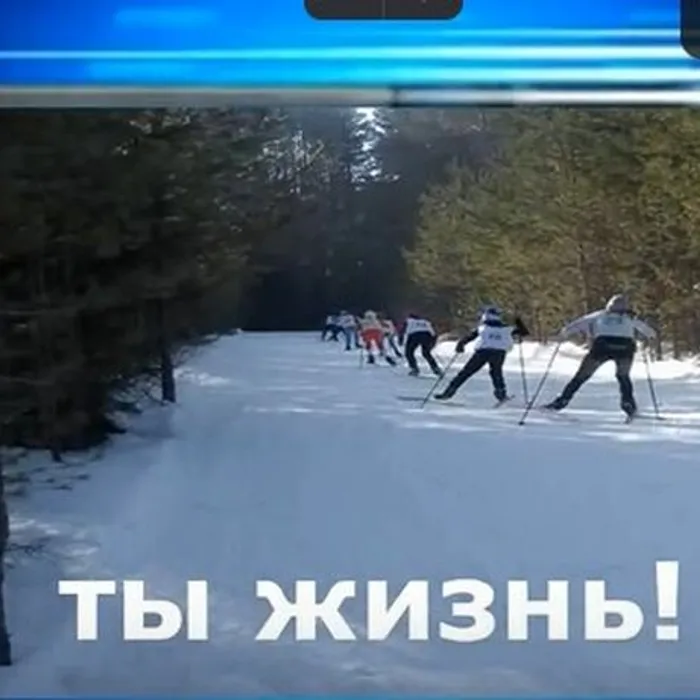 Сива в объективе