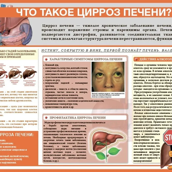 Неделя профилактики заболеваний ЖКТ