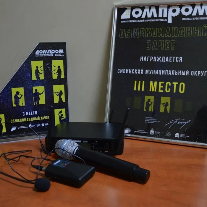 Победители отборочного тура Пермского регионального творческого фестиваля молодых креативщиков "ДомПром"!