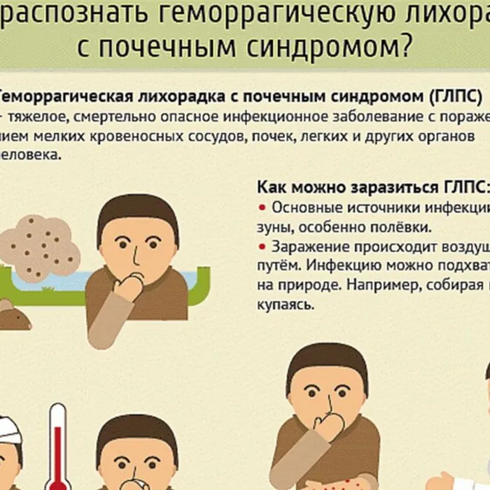Профилактика геморрагической лихорадки с почечным синдромом и туляремии на территории Пермского края